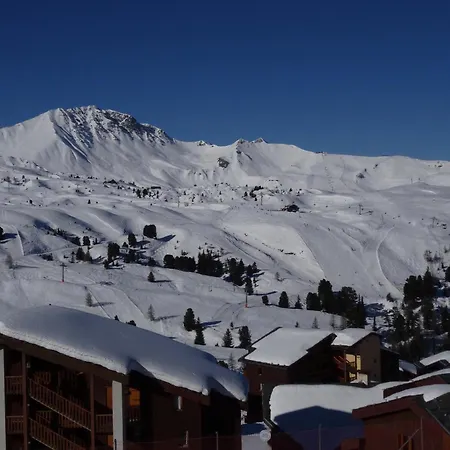 Apartment Themis - Magnifique - Skis Aux Pieds - Vue Pistes - Casier A Skis Mae-3485 La Plagne